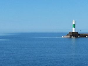 1600_10151484595358990_664148520_n