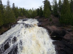 8637_10151485209008990_793322853_n